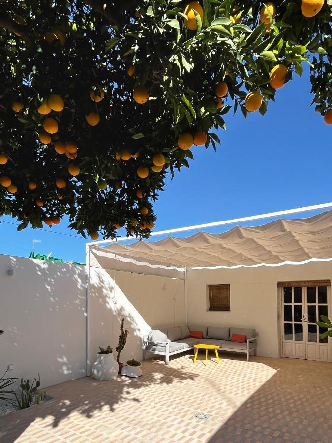 Design & Art, Patio With Orange Tree, Near Seville Carrion de Los Cespedes Esterno foto
